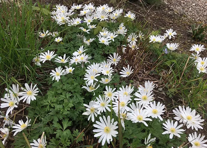 Bromolle Estalagem 3*